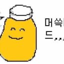 허브랑야생화 네이버블로그