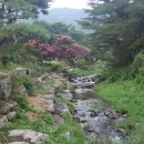 산수휴양림 자연의소리 | [서산숙소] 산수리계곡 자연의소리펜션 - 풀잎소리+갈대소리 단체숙박 후기