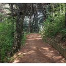 금병산 누리길 이미지