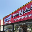 충남약국 | 천안 대형약국 추천 팜스퀘어약국 가격비교 내돈내산 후기