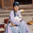 금수 이미지