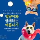 슈퍼디팡 이미지