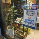 비엔나안경원 | 비엔나 안경원