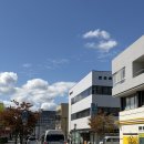 다이키치 | 일본 히토요시 나츠메우인장 성지순례 여행, 나츠메우인장 기념품숍 대길(다이키치) 후기