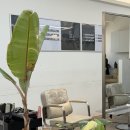 이든 | 하남2지구 산정동 미용실 레이어드 셋팅펌 잘하는 곳,이든살롱 후기