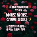 곡성-143 | 곡성세계장미축제 2025, 섬진강기차마을 밤 10시까지! 로맨틱 장미축제🌹