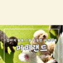 퍼피랜드애견카페 이미지