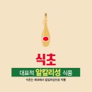 사라식품
