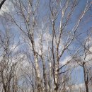 차돌배기로1 이미지