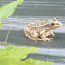 김현기농장 이미지