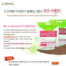 도그카페 이미지