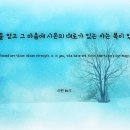 시온의 대로 이미지