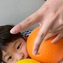 위드퍼니