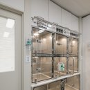 시흥i 동물병원 이미지