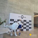 라운드 국내골프여행 국내골프투어 수도권 서울 근교...안성 신생골프장 크리스밸리cc 퍼블릭 골프장 후기