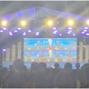 충북 영동 와인축제 후기 와인 시음부터 공연까지 즐긴 하루