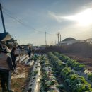 해뜬농장 이미지