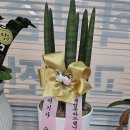 더수학교습소 이미지