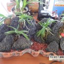 향원장여관 이미지