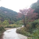 시어동 캠핑장 이미지