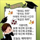 ❤️ 말의 순기능!!! 이미지