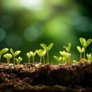 <흙 속의 숨결> 이미지