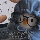 모두하이