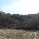 도시공원 행정사사무소 이미지