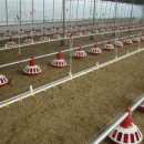 무등산 농원 이미지