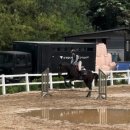(주)청초원 | 109. 어려워진다는건 익숙해졌다는 것 + 청초원 미니 외승