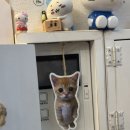 묘돈부리
