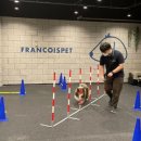 프랑소와펫 롯데일산점 이미지