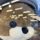 규현목장 이미지