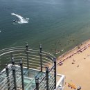 쇼펠리스 이미지