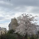 아랑민박 | [2026.03.10.-03.12.] 파리에서 살아남기