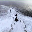 안성리-2 이미지