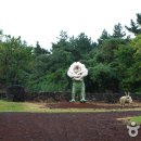 제주 현대미술관 이미지