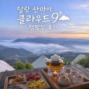 구름 9 | 달랏 산마이 구름사냥은 실패, 클라우드9은 성공 | Cuoud9 Glamping 후기 ☁️
