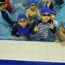 흑추관 합기도 이미지