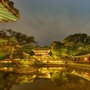 힐링가야금무용 | 창덕궁·창경궁 야간 탐방 ‘동궐동락’… 영춘문 첫 개방!