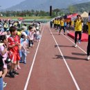 양평종합운동장(주경기장) 이미지