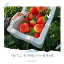 게이크 | 논산 딸기체험 추천 온누리 딸기농장 가족나들이