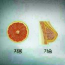 뷰티클리닉차만얼굴