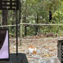 다문주유소 이미지