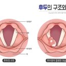뉴톤보청기 의정부지사 이미지