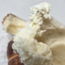 치동초등학교 | 동탄 굴뚝빵 방문 후기