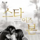이즈본 티스토리