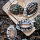 맛수러움 이미지