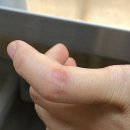 공인농장 이미지