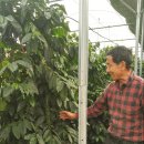 범준농장 이미지